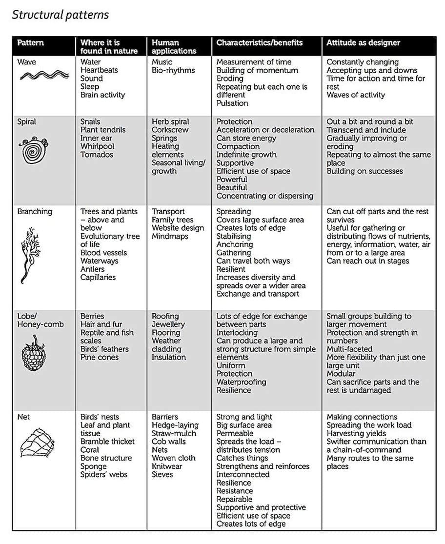 Patterns Inbiology Patterns and Biomimicry – Permaculture Womens Guild